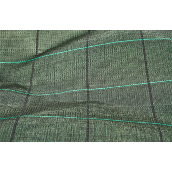 TOILE PAIL 90G VERTE 100X2,10M RL