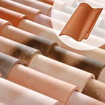 Tuile DC12 - Double Canal 12 double emboitement Terreal 1DG - Vieux midi