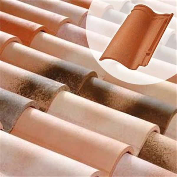 Tuile DC12 - Double Canal 12 double emboitement Terreal 1DG - Vieux midi