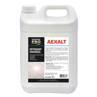 Détergent nettoyant toutes surfaces - Nettoi'tout Aexalt - Bidon 5 L