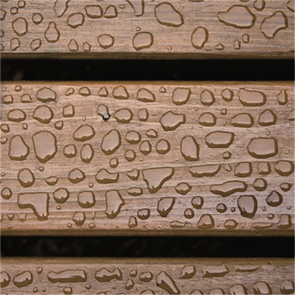 Imperméabilisant bois naturels et exotiques Algifuge bois bidon de 5 litres