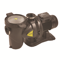 POMPE DE PISCINE EUROSWIM 150 MONO