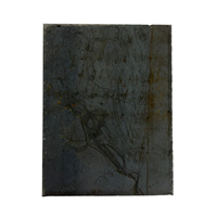 Renfort acier pour poteau de clôture Axyle - Dirickx - zones 1/2