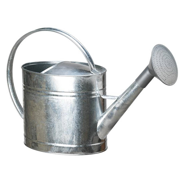 ARROSOIR 13L GALVA A BITUME+POMME