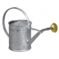 Arrosoir rond avec pomme laiton - Capacité 1L - Acier galvanisé à chaud anti-corrosion