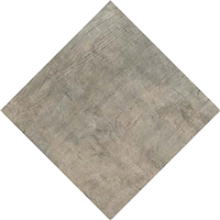 Carrelage extérieur grès cérame émaillé rectifié effet bois Edilis Woodtech - 60 CM x 60 CM - ép. 20 MM - Douglas