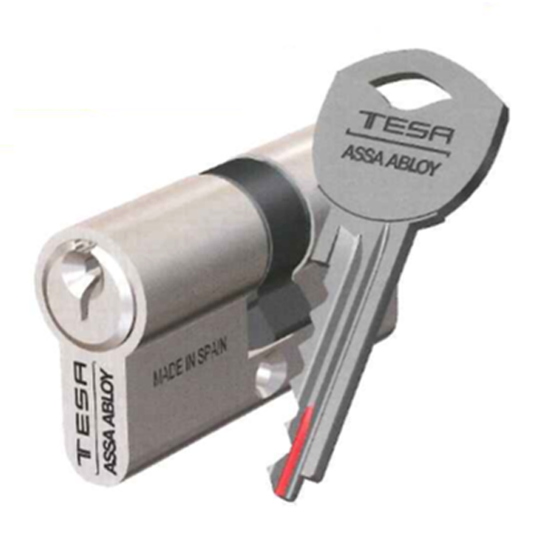 Cylindre de sécurité à clé - 2 entrées - SA - nickelé