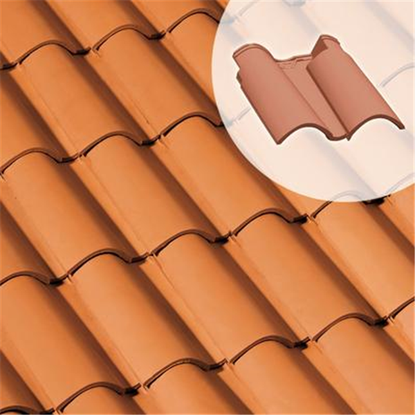 Double tuile Feriane - SO010