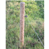 Piquet en pin Diam. 100 mm - Traité Classe 4 Vert - L.1,50 M