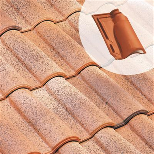 Tuile chatière en terre cuite - Méridionale Poudenx - section 20 cm² - Paysage