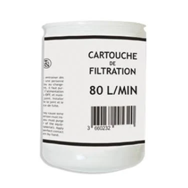 Cartouche de filtration pour gasoil - RENSON - 80L/min