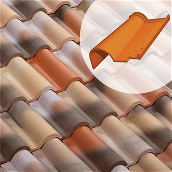 Tuile de rive à rabat côté gauche - Romane Réno 6RR - Vieux midi