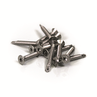 Vis pour bardage Weo en pose verticale - Inox A2 Tête fraisée - 4,2 MM x 32,0 MM - Boîte de 200 avec embout de vissage T20