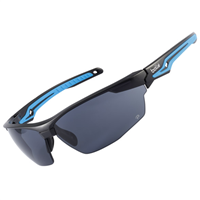 Lunettes solaires verres fumés Platinium Tryon Bollé Safety