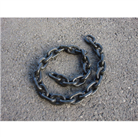 CHAINE LEVAGE D10 GRAD 80    1M