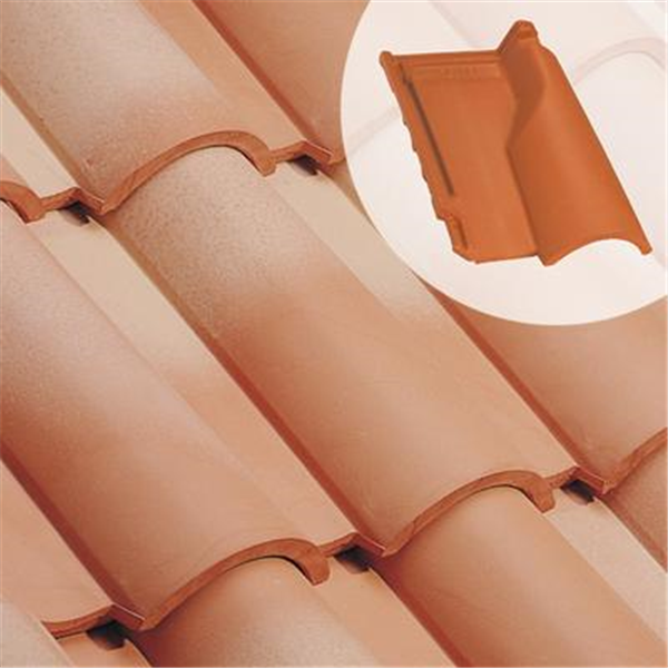 Tuile de ventilation Chatière AQUITAINE (111.20)