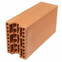 Biobric Brique Thermo'bric G7b