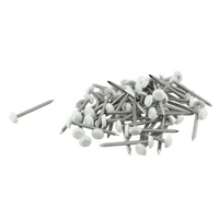 POINTE INOX 30MM ANNELEE TETE SURMOULEE BLANC