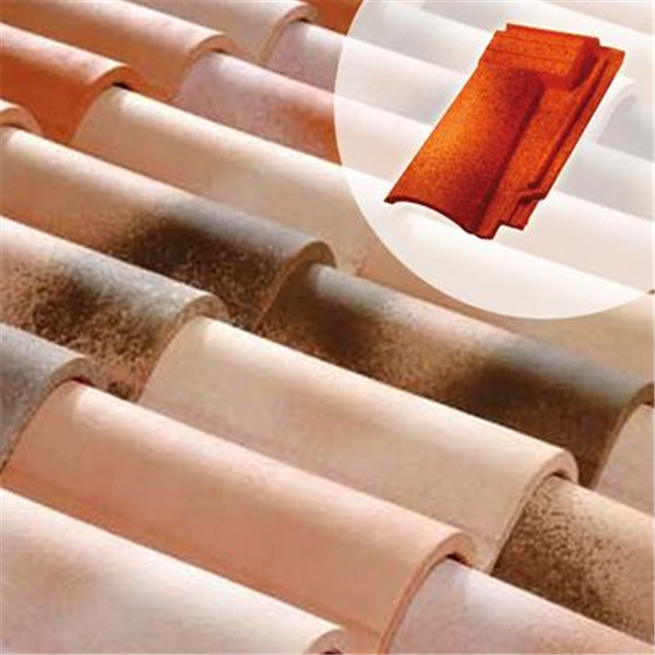 Tuile sous faîtière DC12 pureau entier