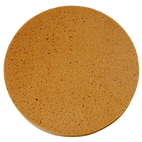 Éponge plateau pour talocheuse électrique EPG400 - Diamètre 370 mm - Diam Industries