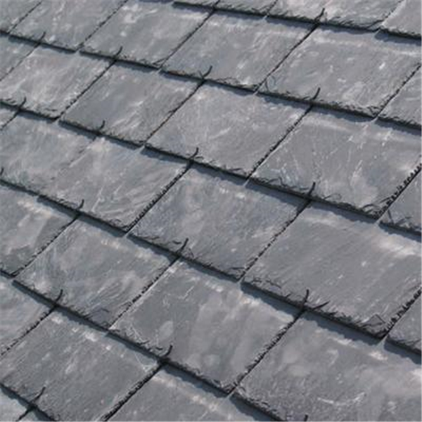 Crochet rev. d'ardoise Anj. color Inox 17% Talon 5 mm - Agrafe 18 mm