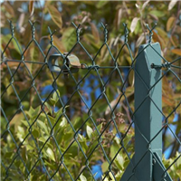 Raidisseur n°2 fil de clôtures grillage souple - Tension 2,1 à 2,7 mm - Dirickx - Vert