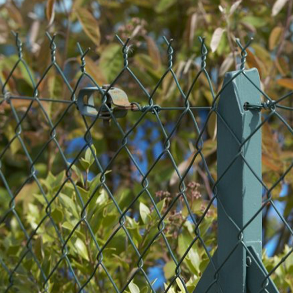 Raidisseur n°2 fil de clôtures grillage souple - Tension 2,1 à 2,7 mm - Dirickx - Vert