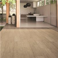 Carrelage extérieur en grès cérame émaillé effet bois Cévennes Grip - 80 CM x 19 CM - ép. 10 MM - Muscade