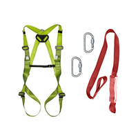 Kit harnais antichute Sistema 1 harnais 1 absorbeur d'énergie longueur 2 mètres 2 mousquetons
