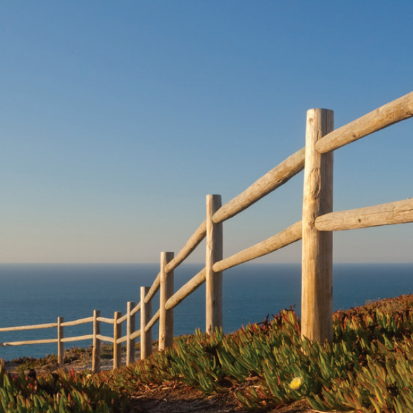 Poteau d'extrémité pour clôture Prailloux en pin sylvestre - bois traité classe 4 vert - Ø 140 mm - hauteur 1,50 M