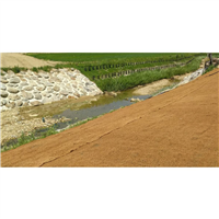 GEOTEXT COCO ANTIEROS 740 2X50  M2