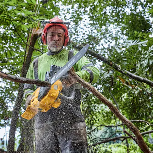 Tronçonneuse élagueuse Dewalt DCMCS575X1-QW - Flexvolt XR 54V 9Ah Li-Ion 50 cm - avec batterie et chargeur