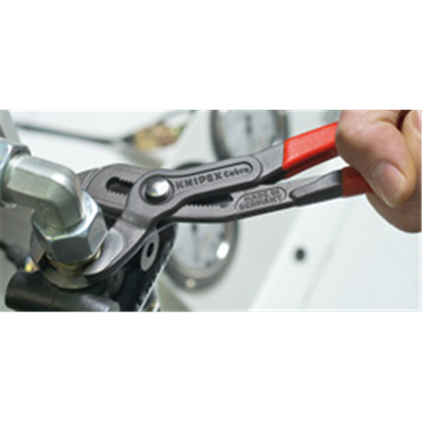 Pince multiprise Cobra® 180mm - Gainage PVC - Capacité 36mm