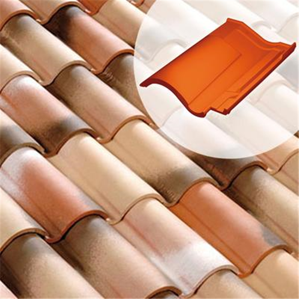 Tuile chatière DC12 (61DG)