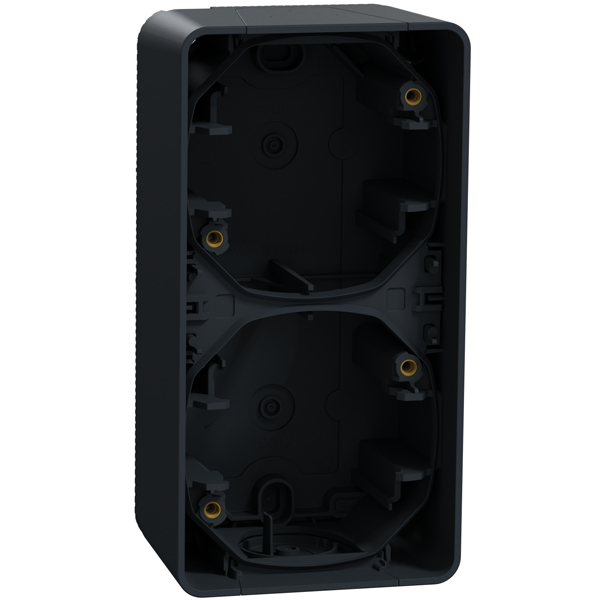 Boîtier pour 2 postes en saillie à la verticale Schneider Mureva Styl - IP55 - IK08 - gris anthracite RAL 7016