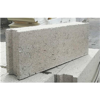 Bloc béton plein SEAC - 500 MM x200 MM x 100 MM -