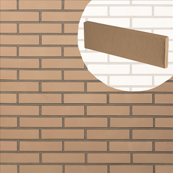 Plaquette de parement mural en terre cuite lisse Terreal Beige - 22 CM x 5 CM - épaisseur 14 MM