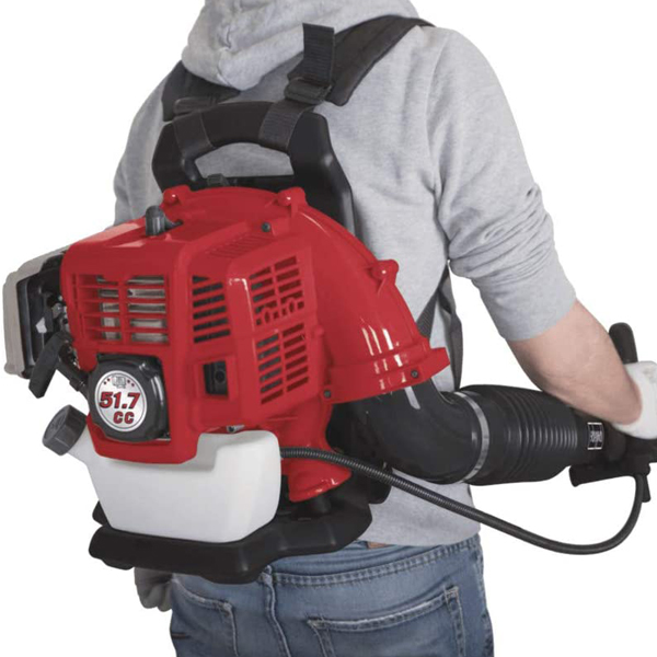 Souffleur Dorsal Scheppach LB5200BP 1,9 Cv