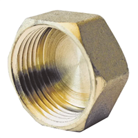 Bouchon obturateur femelle 1/2" en laiton à tête hexagonale