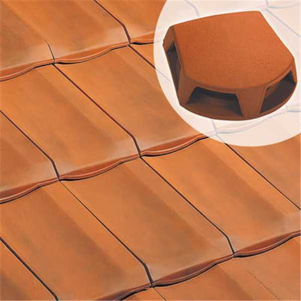 Lanterne bi-section 1007 pour toiture - Ø 126/160 mm - section aération 259 cm²  - Flammé rustique