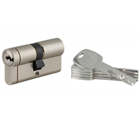 Cylindre haute sûreté Thirard Transit 1 - profil européen - nickel velours - 5 clés variées - 40 x 40 mm
