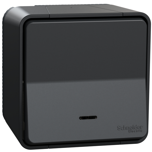 Interrupteur va-et-vient lumineux en saillie Schneider Mureva Styl complet - IP55 - IK08 - anthracite - 10AX 250V