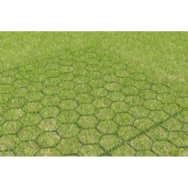 Plaque de consolidation de gazon en milieu paysager - Greenplac - 600 x 390 mm