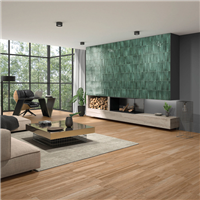 Faïence brillante effet zellige - Raku - 27,0 CM x 6,0 CM - ép. 8,00 MM - Green Jade