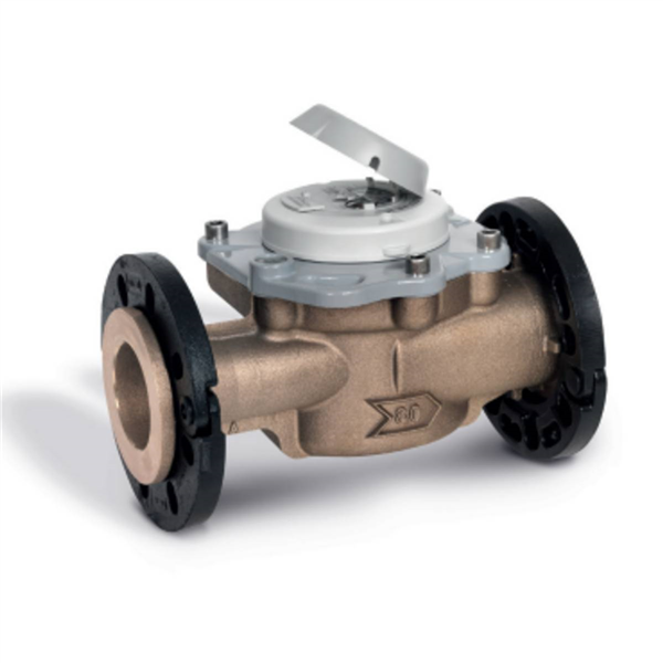 CPTEUR VITESSE FLOSTAR M EAU FROIDE LG 300 DN50 66X76