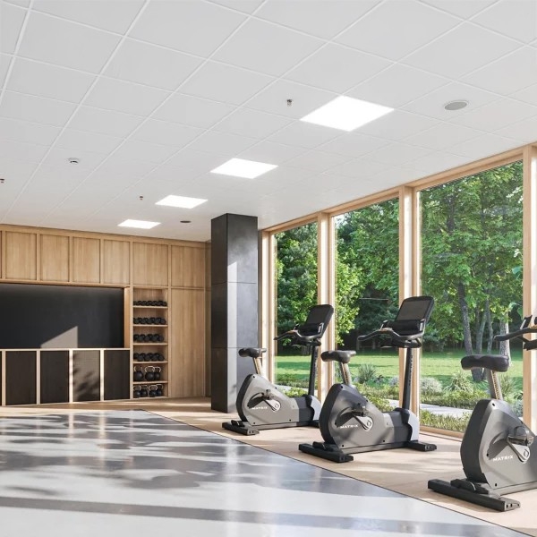 Dalle de plafond acoustique minérale - Topiq Alpha 20 - Bords A (droits) - 60,0 CM x 60,0 CM - ép. 20,00 MM