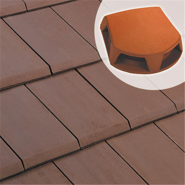 Lanterne bi-section 1007 pour toiture - Ø 126/160 mm - section aération 259 cm²  - Vieilli masse (Ste foy)