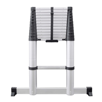 Échelle télescopique en aluminium X-SCOPIC Tubesca - hauteur pliée 0,90 M - hauteur dépliée 3,80 M - hauteur d'accès max 4,70 M