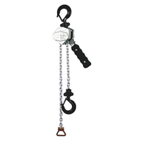 Palan à levier à chaîne Haltir Levac sans limiteur de charge CMU 250 kg