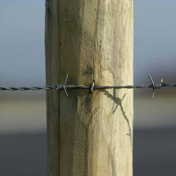 Crampillon lisse de maintien et fixation - Ø 4,5 x 40 mm - Acier galvanisé - Boîte de 5 kg